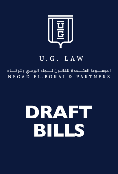 Proposed article and bill of freedom of information in Egypt